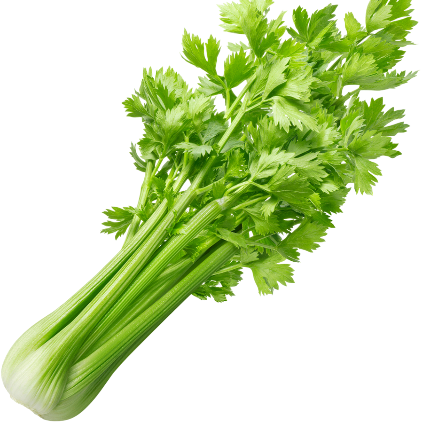 Natural Standards Organic Celery