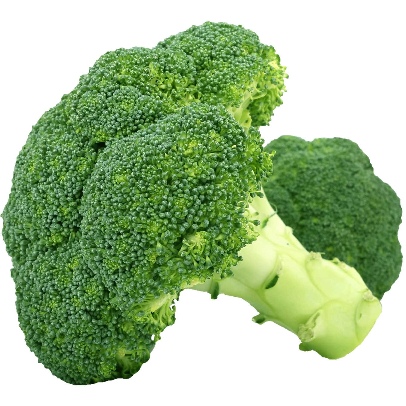 Natural Standards Organic Broccoli