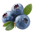 Natural Standards Organic Blueberries